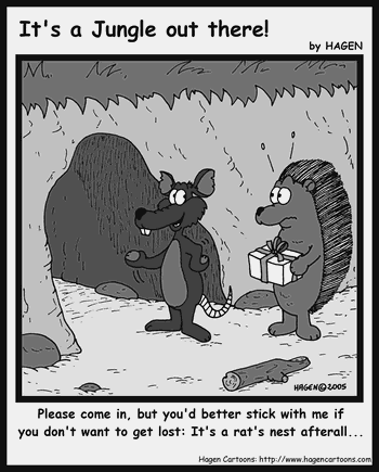 Latest "It's a Jungle out there!"